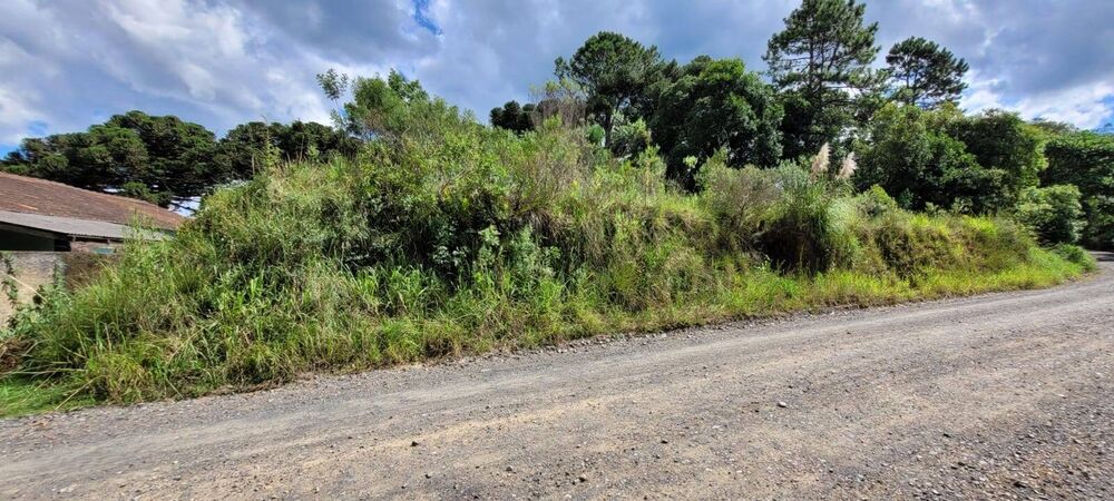 Terreno, 2 hectares - Foto 1