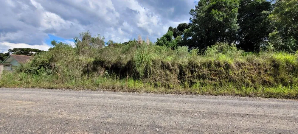 Terreno, 2 hectares - Foto 8