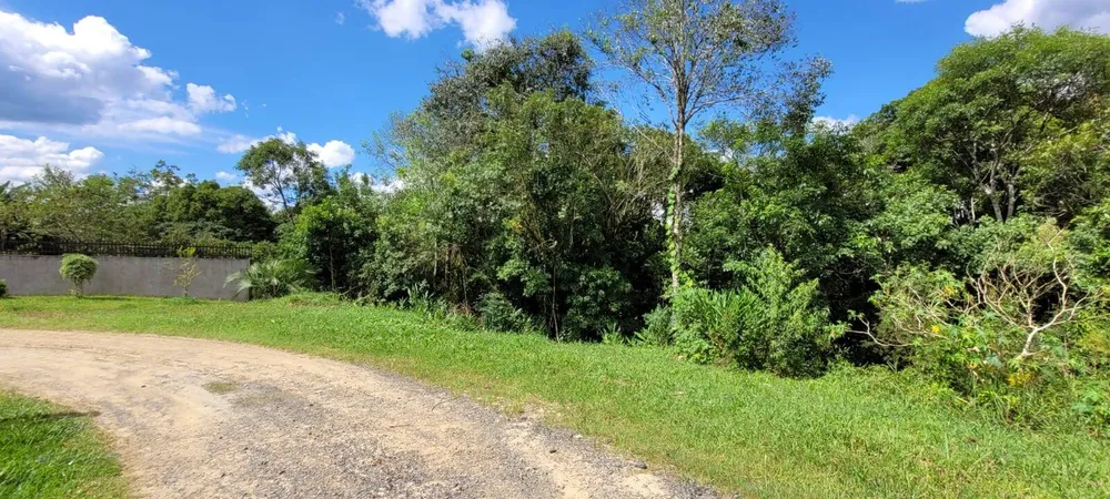 Terreno, 2 hectares - Foto 7