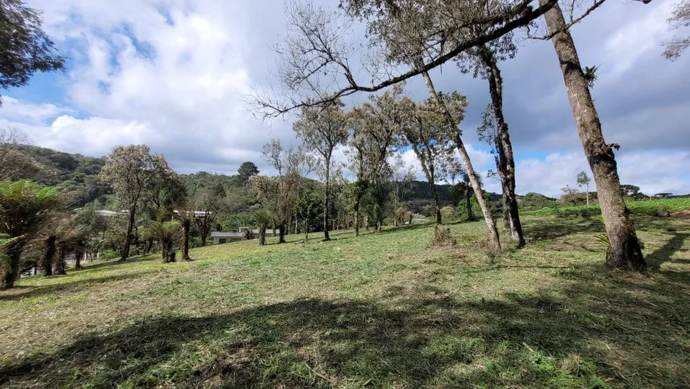 Terreno, 540 m² - Foto 8