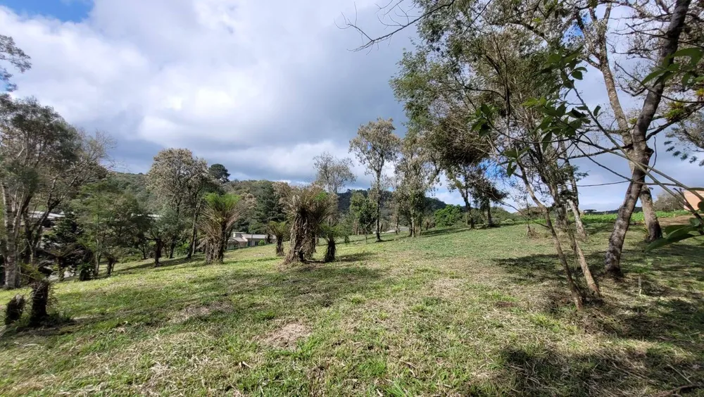 Terreno, 540 m² - Foto 7
