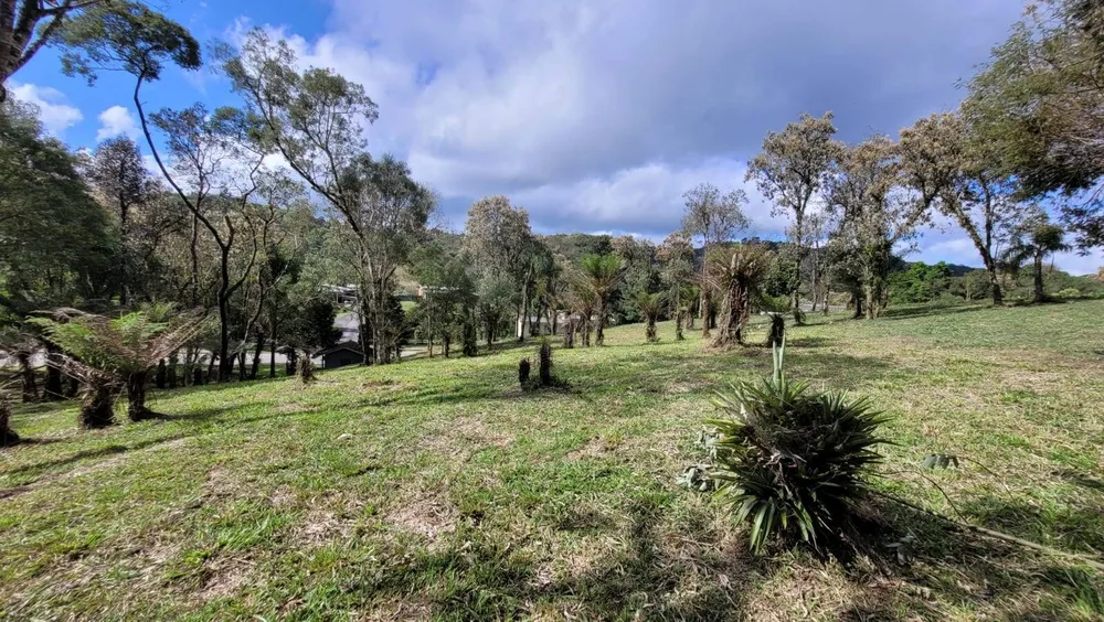 Terreno, 540 m² - Foto 4