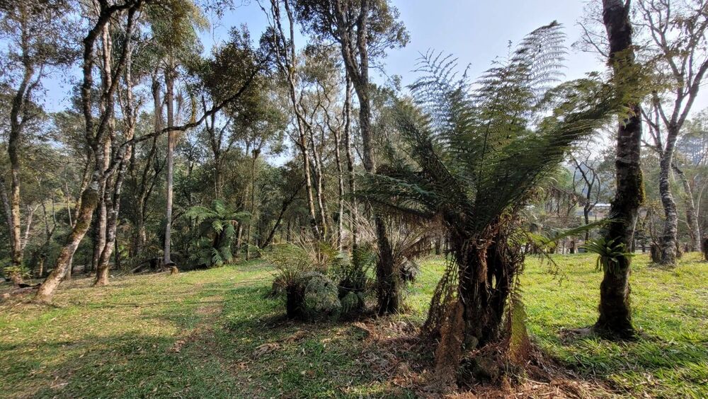 Terreno, 3000 m² - Foto 4