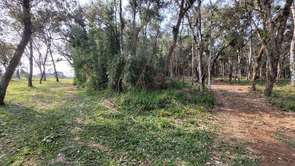 Terreno, 3000 m² - Foto 1