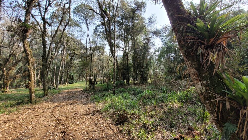 Terreno, 3000 m² - Foto 2