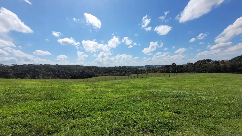 Terreno, 23 hectares - Foto 12