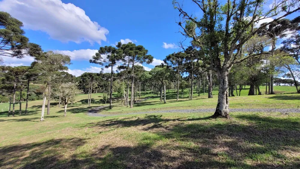 Terreno, 23 hectares - Foto 2