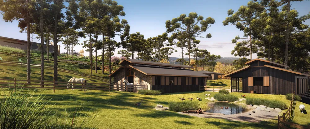 Terreno, 23 hectares - Foto 6