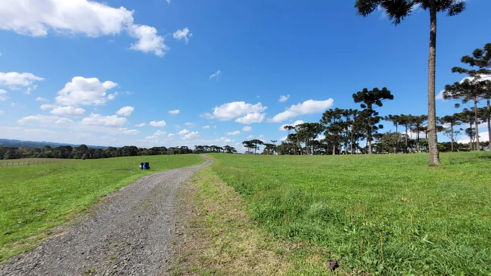 Terreno, 23 hectares - Foto 11