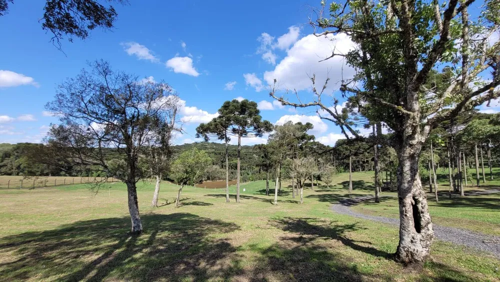 Terreno, 23 hectares - Foto 3