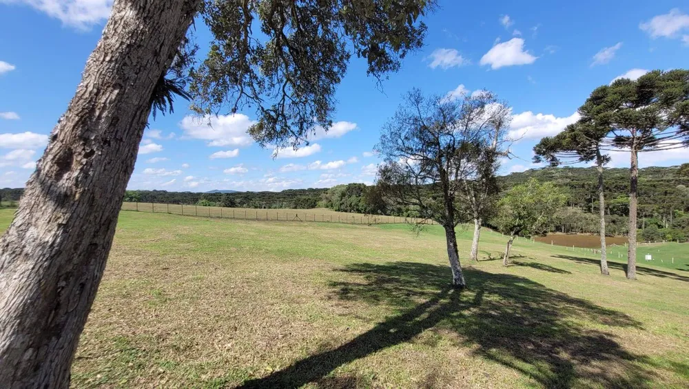 Terreno, 23 hectares - Foto 15