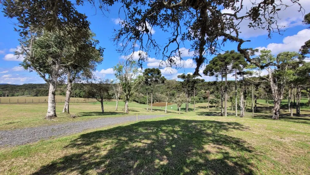 Terreno, 23 hectares - Foto 13