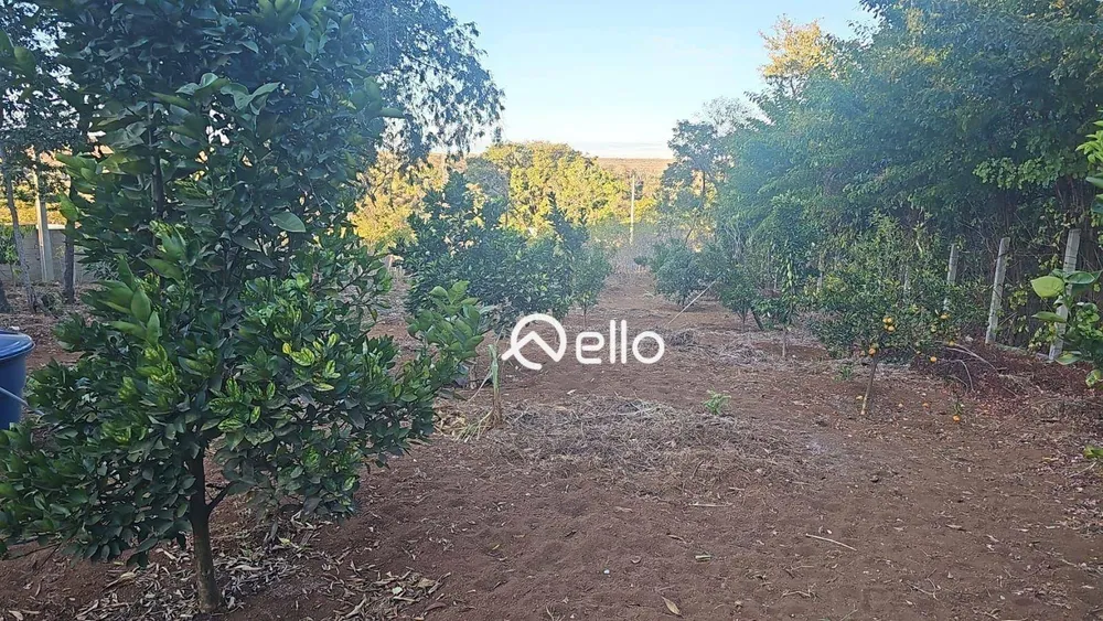 Sítio, 2 quartos, 10000 m² - Foto 17