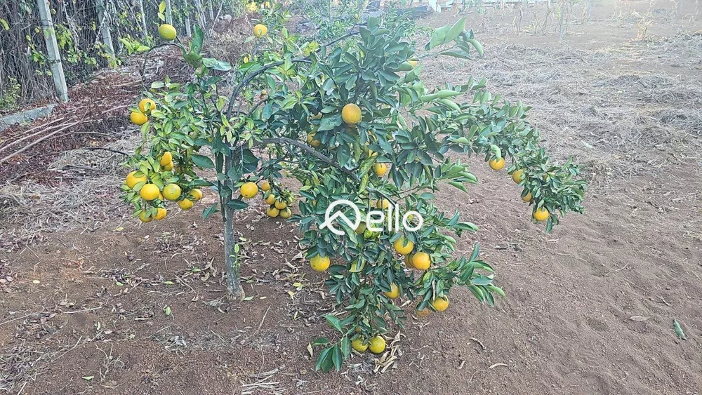 Sítio, 2 quartos, 10000 m² - Foto 4