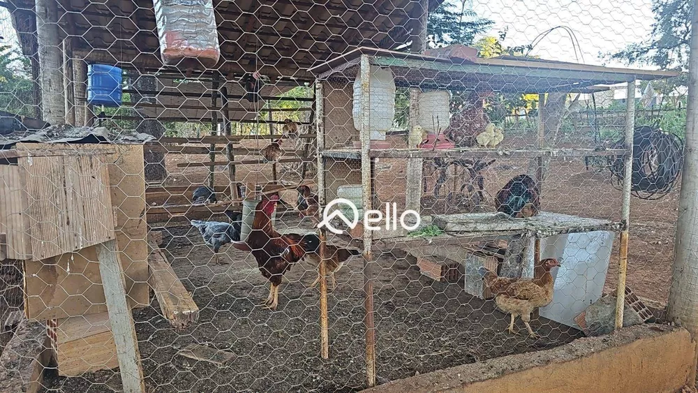 Sítio, 2 quartos, 10000 m² - Foto 3