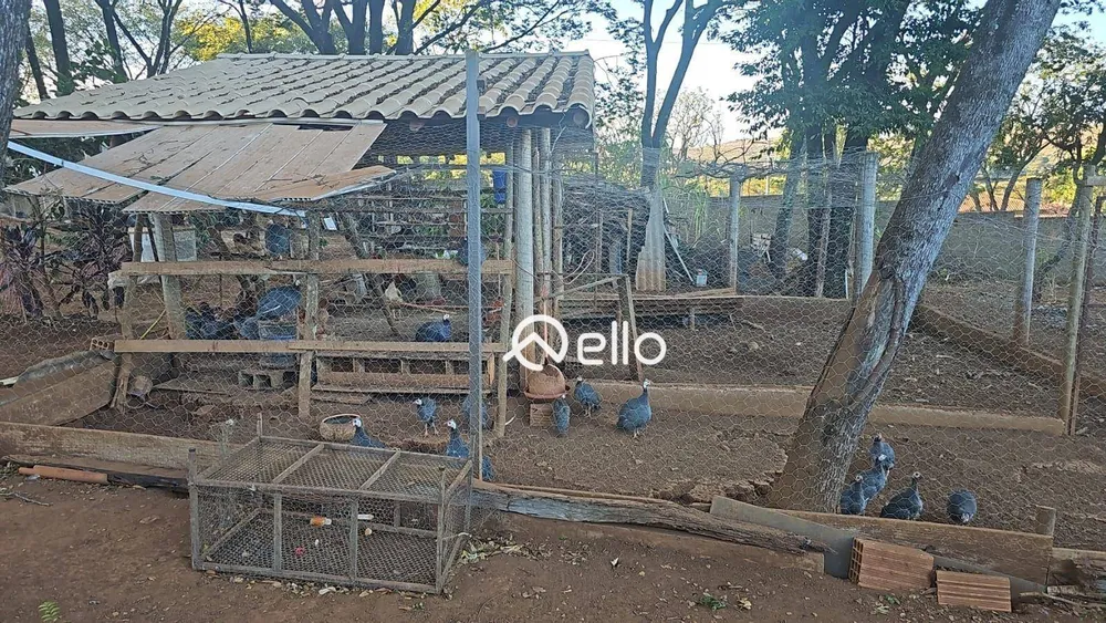 Sítio, 2 quartos, 10000 m² - Foto 13