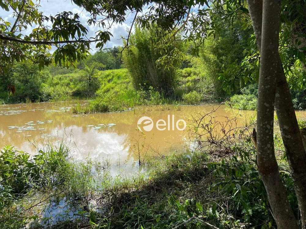 Terreno, 3 hectares - Foto 2