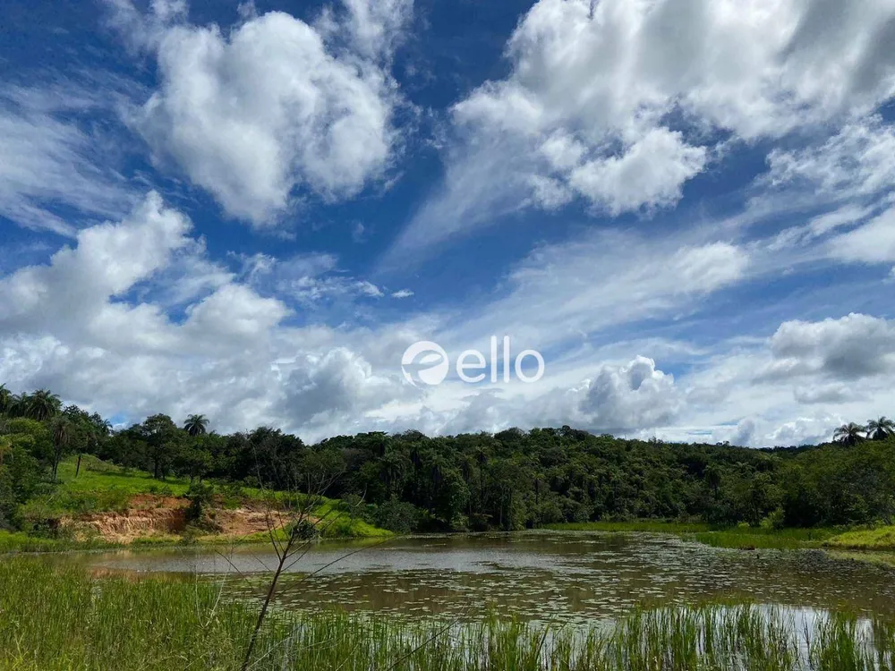 Terreno, 3 hectares - Foto 14