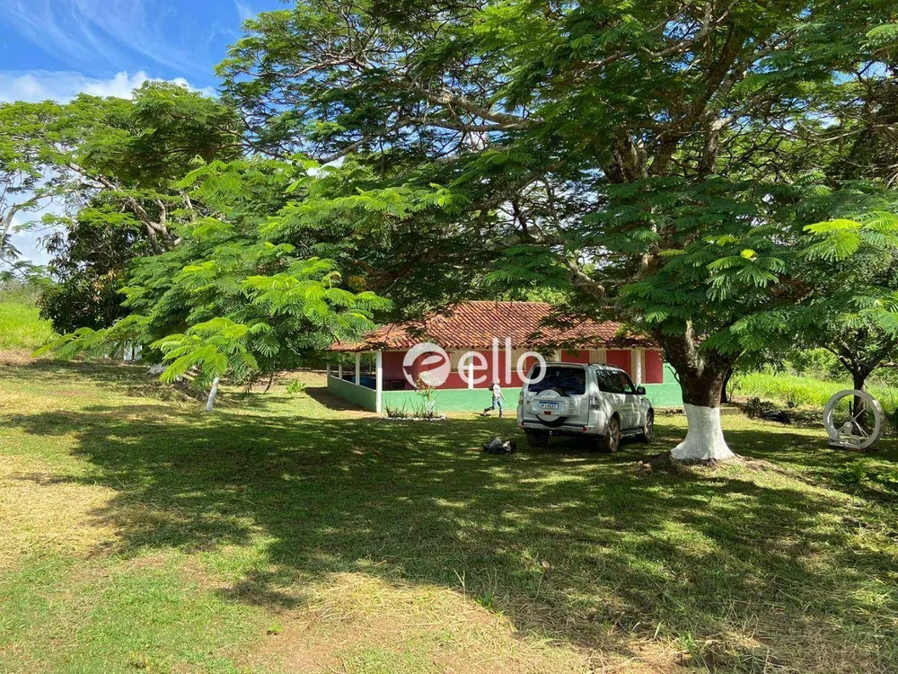 Terreno, 3 hectares - Foto 7