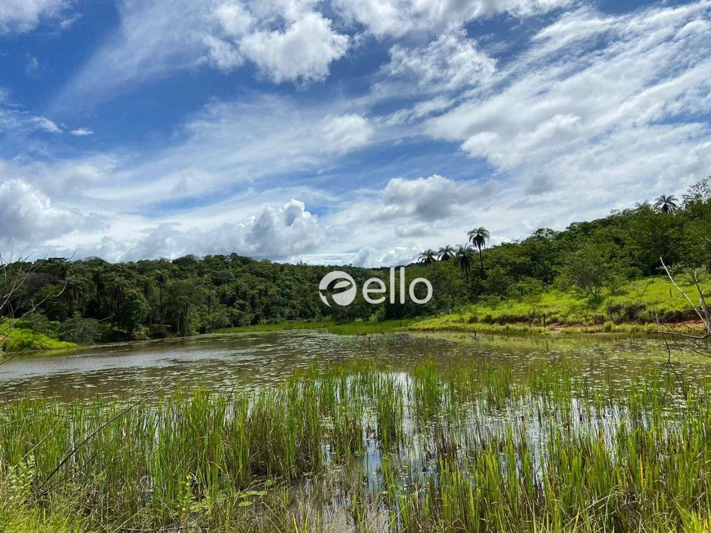 Terreno, 3 hectares - Foto 1