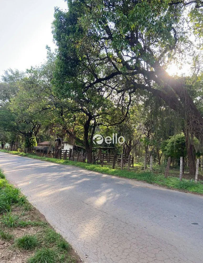 Terreno, 20 hectares - Foto 4