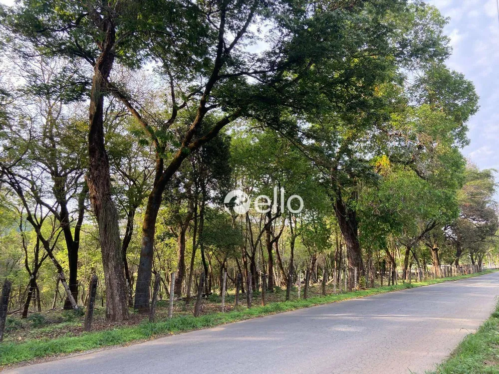 Terreno, 20 hectares - Foto 3
