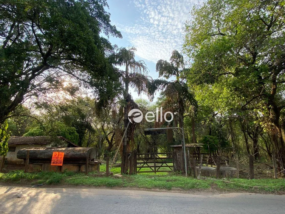 Terreno, 20 hectares - Foto 5