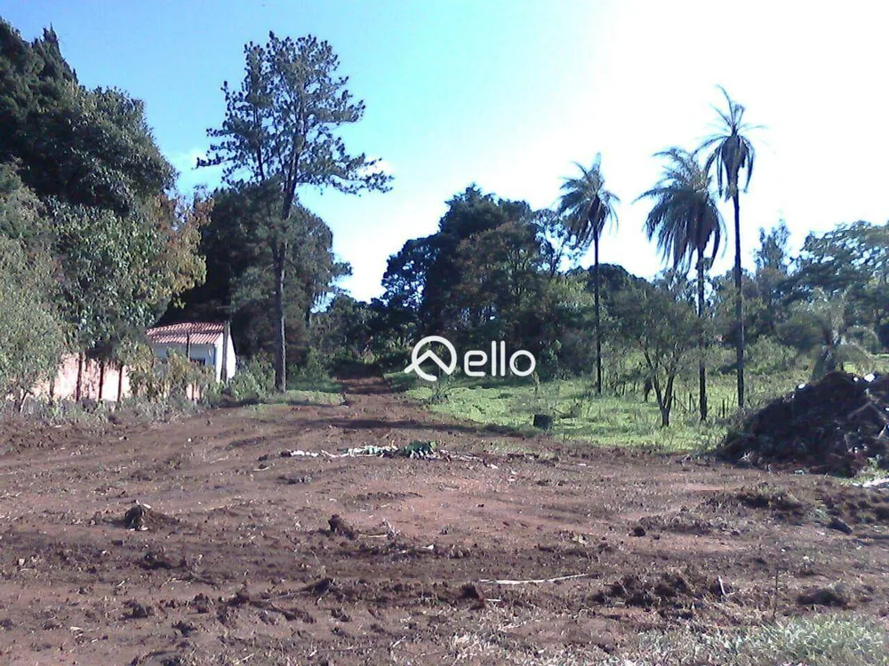 Terreno, 1 hectares - Foto 5