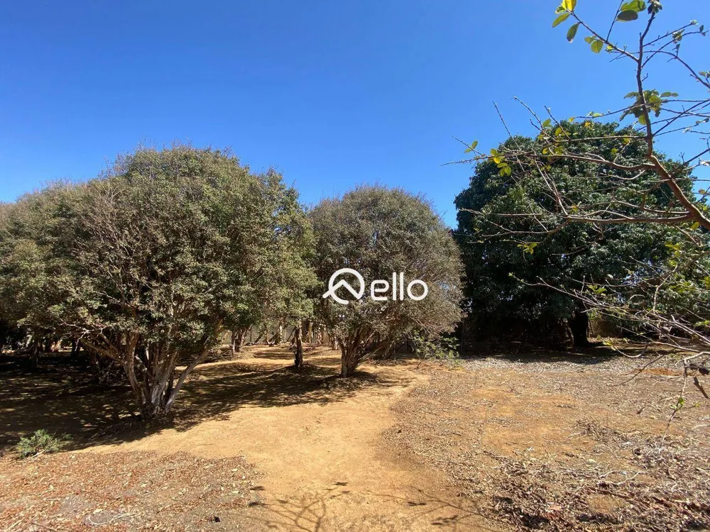 Sítio, 3 quartos, 5900 m² - Foto 18