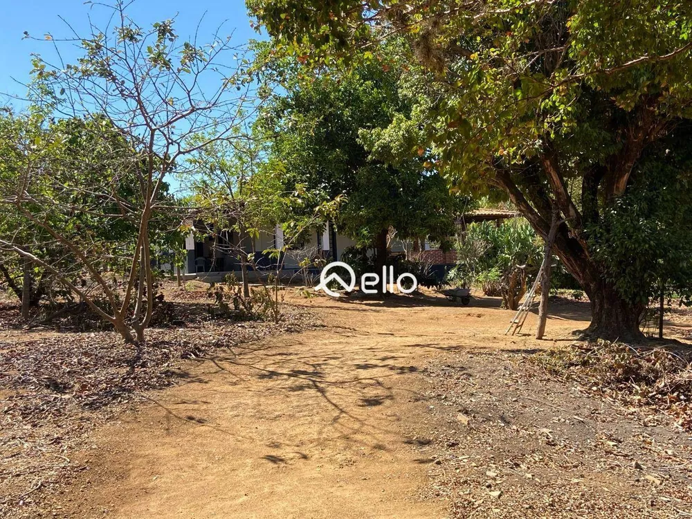 Sítio, 3 quartos, 5900 m² - Foto 3