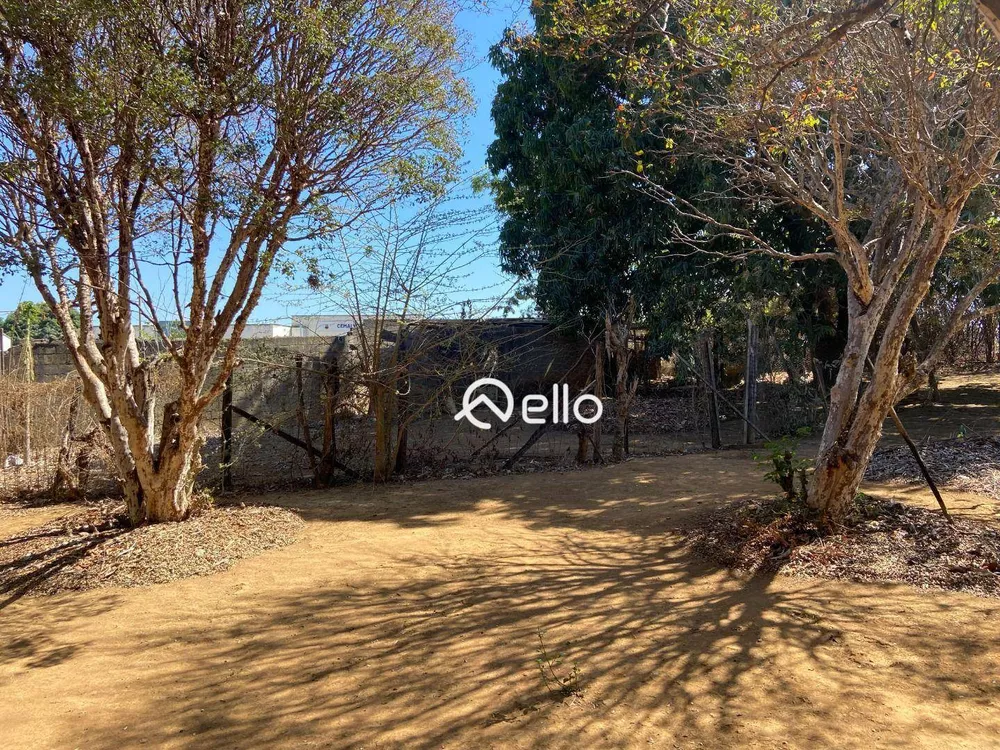 Sítio, 3 quartos, 5900 m² - Foto 4