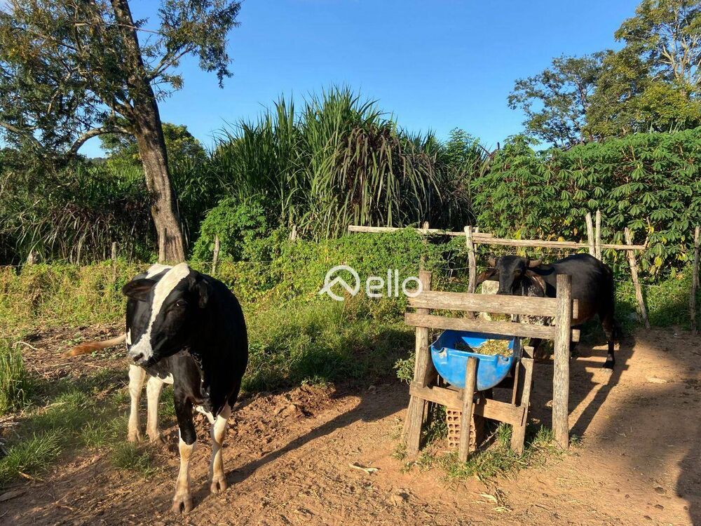 Sítio à venda com 6 quartos, 22700M2 - Foto 5