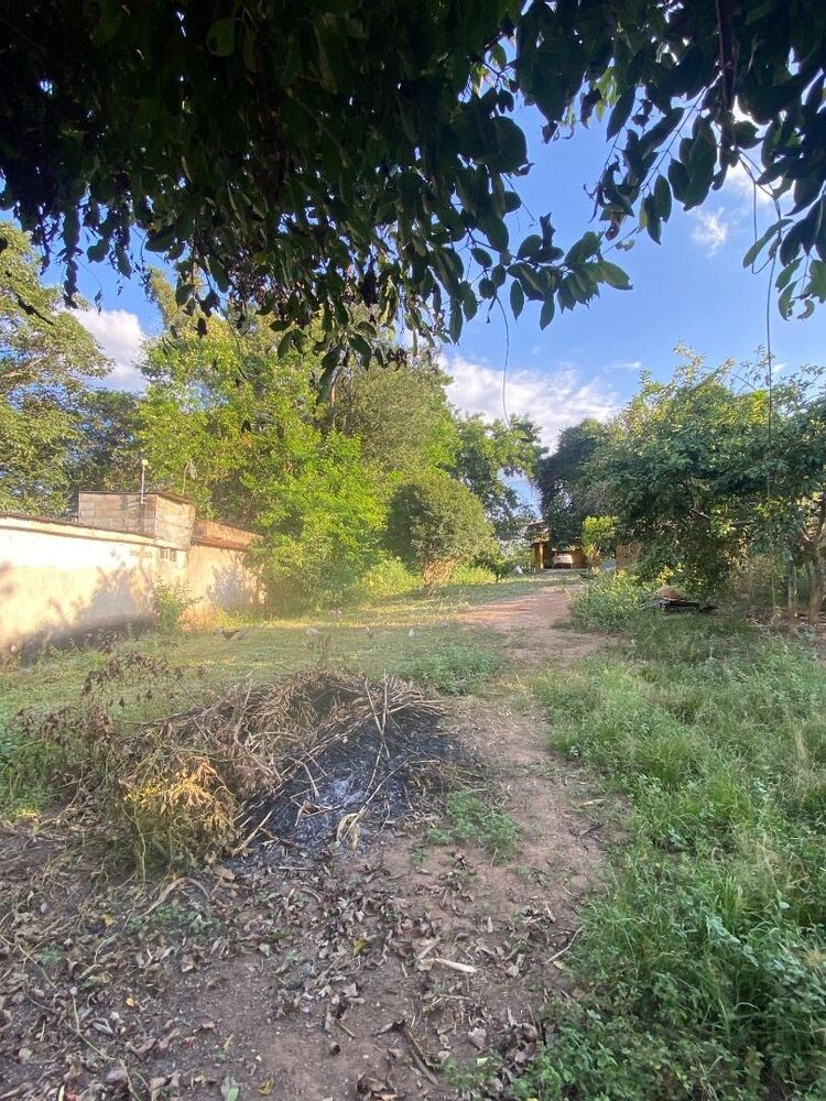 Sítio à venda com 6 quartos, 22700M2 - Foto 8