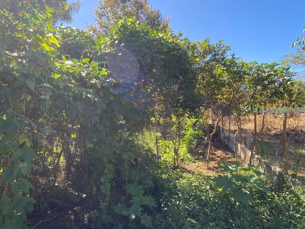 Terreno, 392 m² - Foto 6