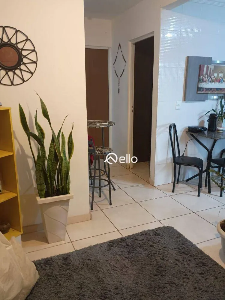 Apartamento, 2 quartos, 46 m² - Foto 1