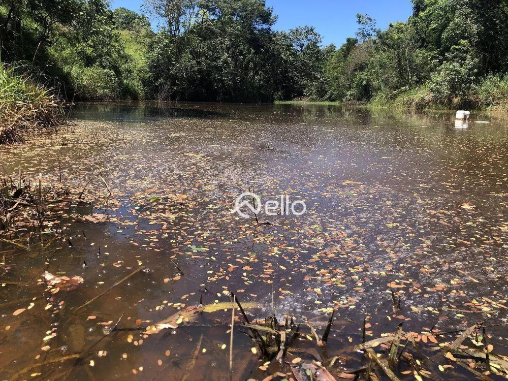 Sítio, 3 quartos, 12 hectares - Foto 4