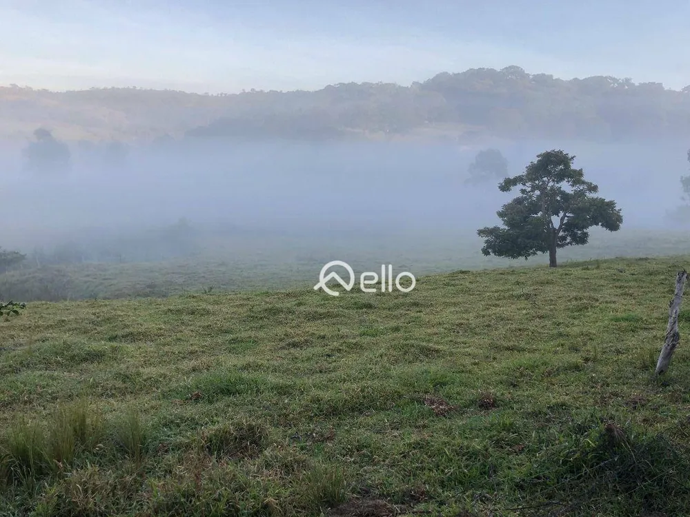 Sítio, 3 quartos, 12 hectares - Foto 11