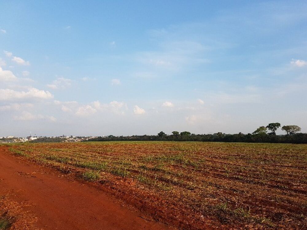 Loteamento e Condomínio - Foto 3