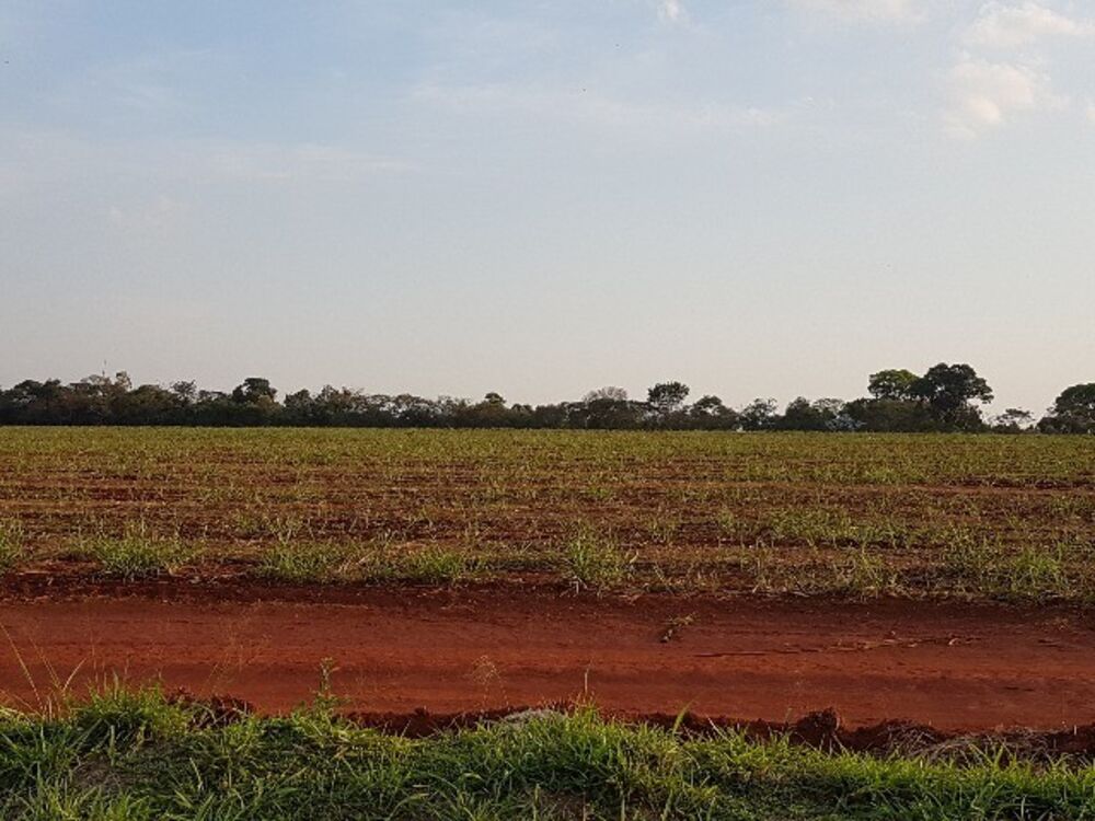 Loteamento e Condomínio - Foto 4