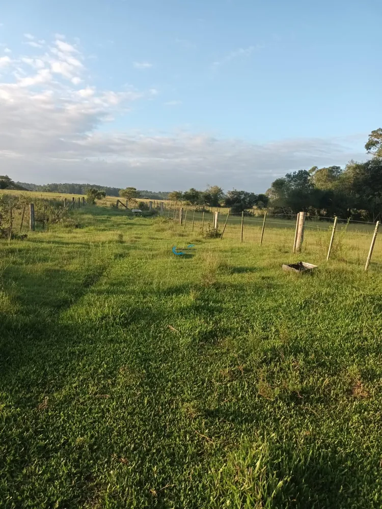 Sítio, 5 quartos, 340 m² - Foto 15