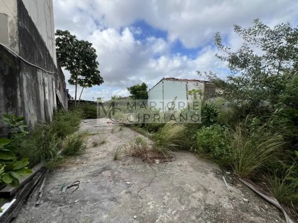 Terreno - Foto 1