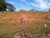 Terreno, 200 m² - Foto 1