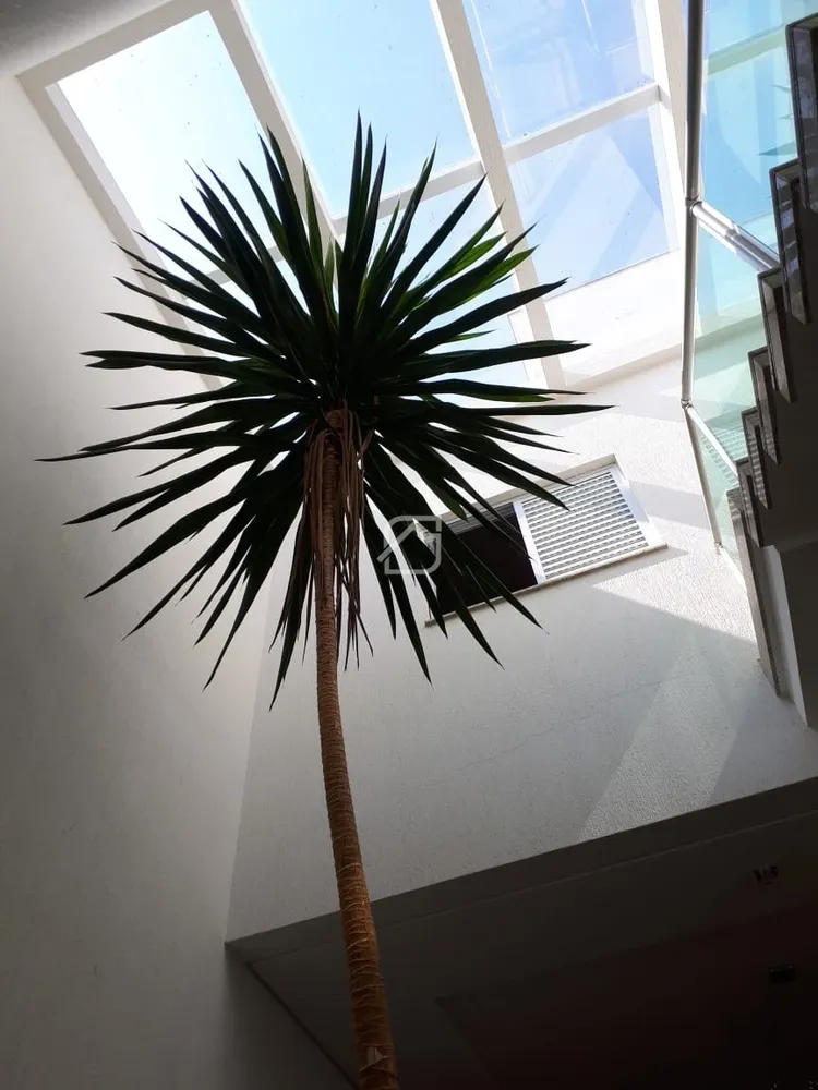 Casa, 3 quartos, 175 m² - Foto 9