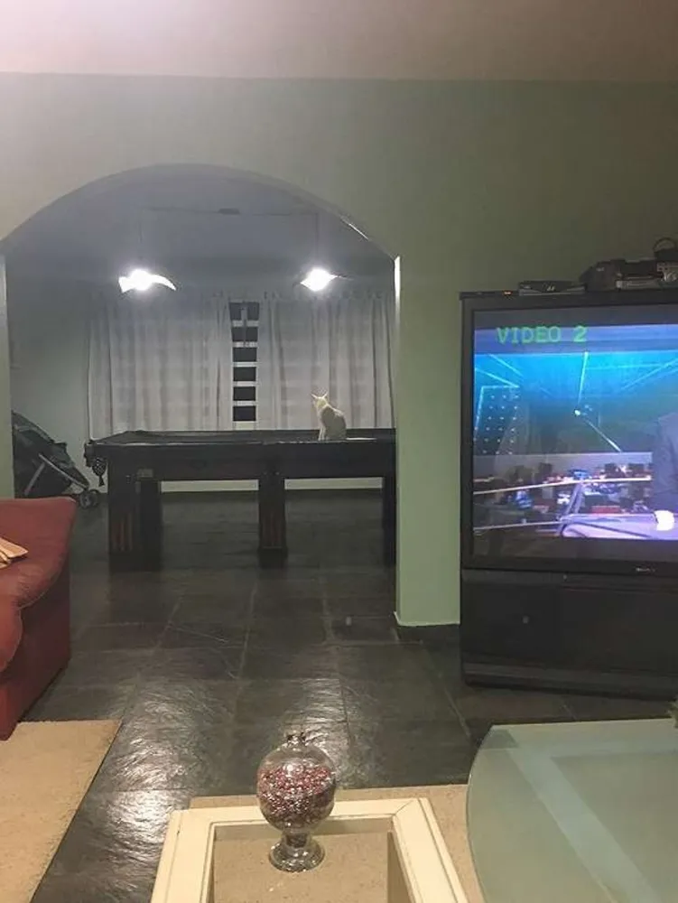 Chácara, 3 quartos - Foto 16