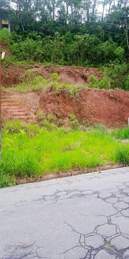 Terreno, 250 m² - Foto 1
