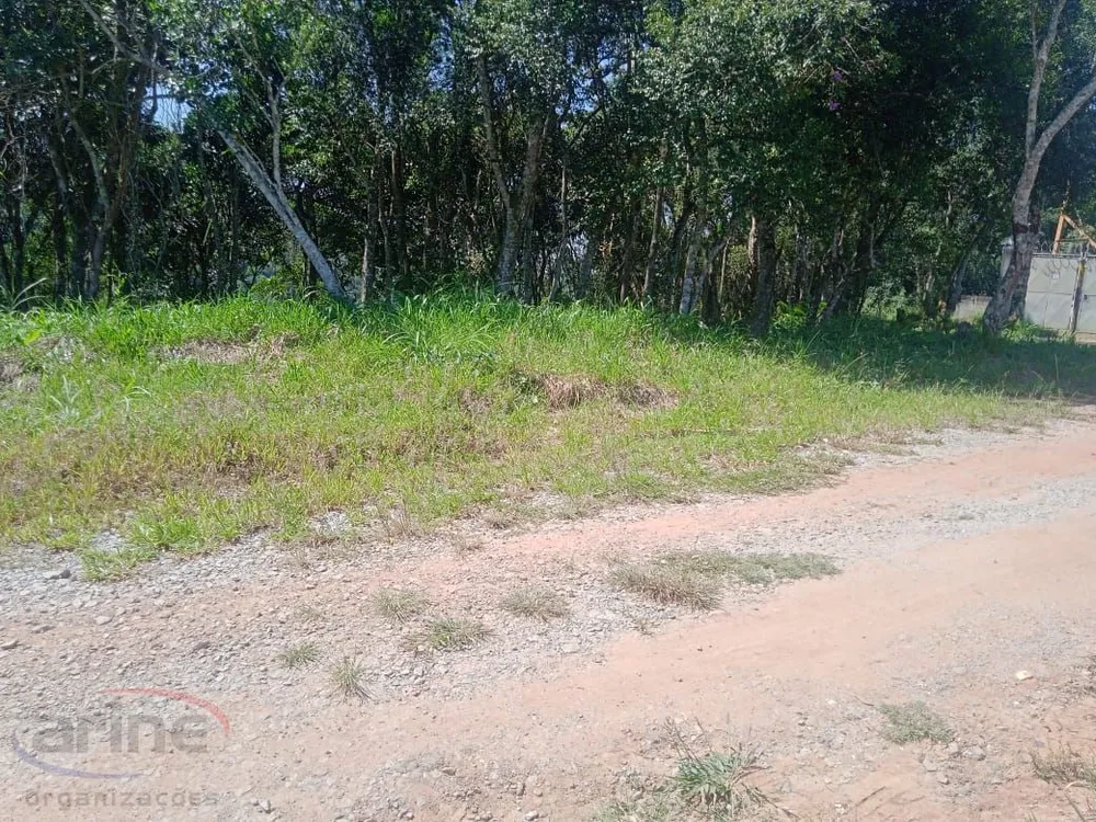Terreno, 1000 m² - Foto 1