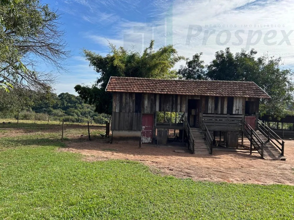 Sítio - Foto 5