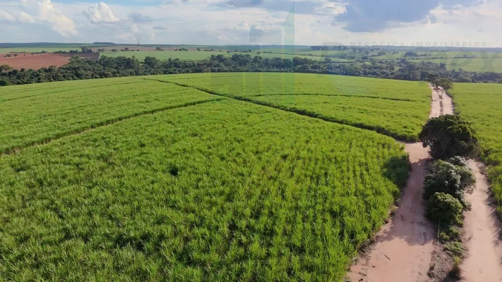 Fazenda, 33 m² - Foto 4