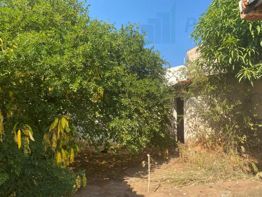 Prédio Inteiro - Foto 12