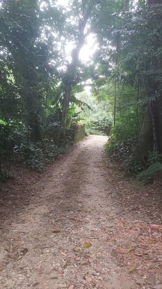 Terreno, 1000 m² - Foto 3